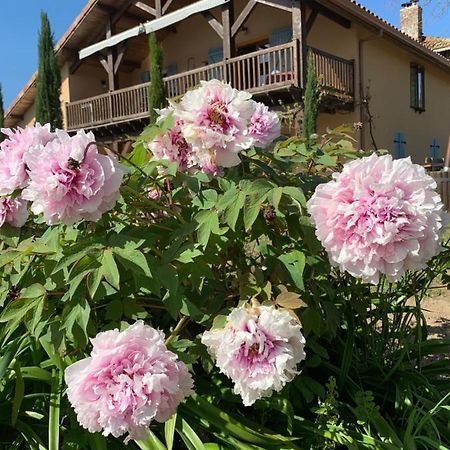Lauberge De Nogaro Caupenne-d'Armagnac المظهر الخارجي الصورة