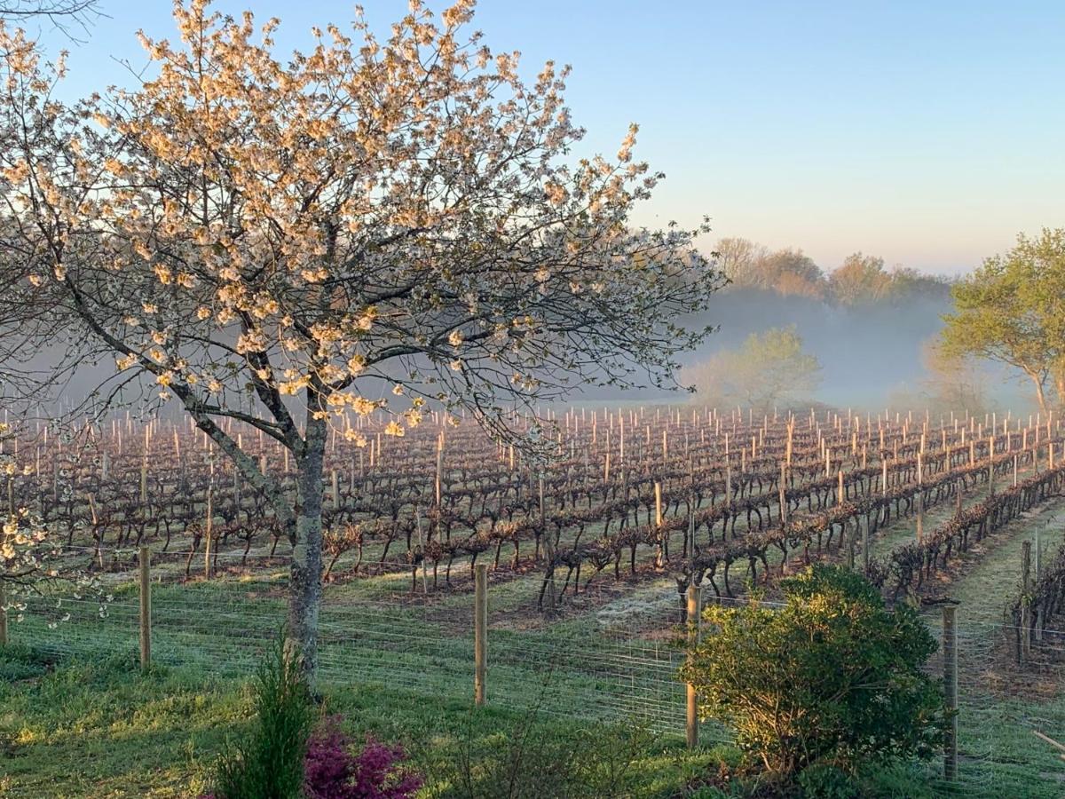 Lauberge De Nogaro Caupenne-d'Armagnac المظهر الخارجي الصورة